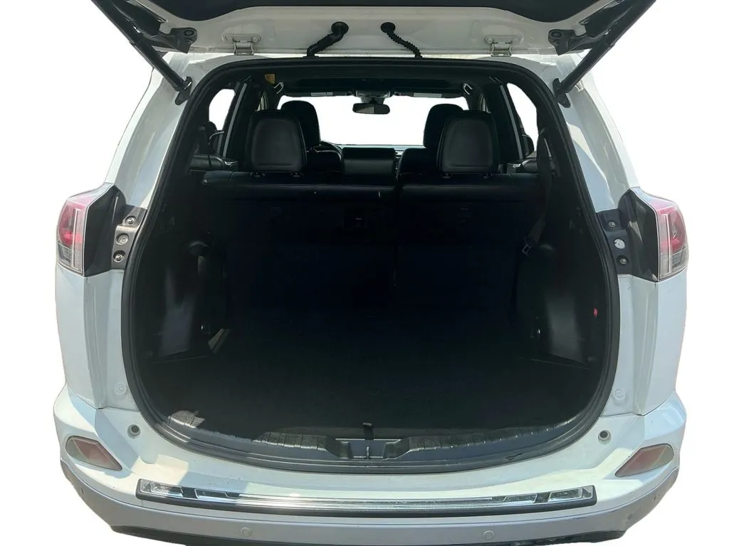 2016 Toyota RAV4 SE thumbnail 24